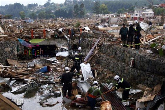 智利8.8级大地震2周年 - 莆仙游子