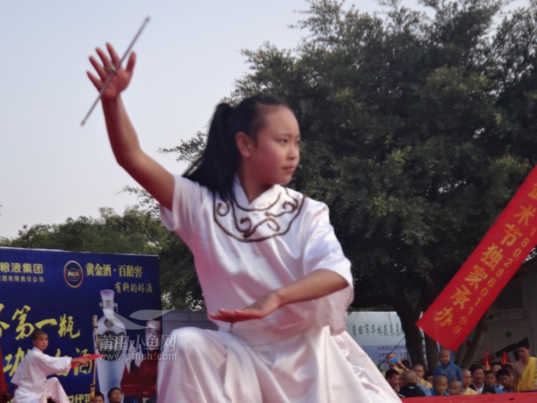 第四届南少林武术节现场活动照片全纪录