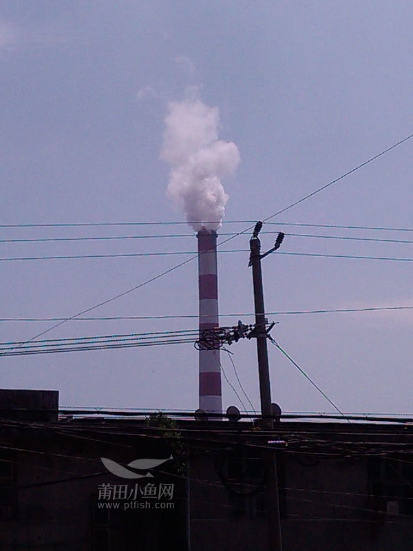 塔林湄洲湾火电厂污染严重