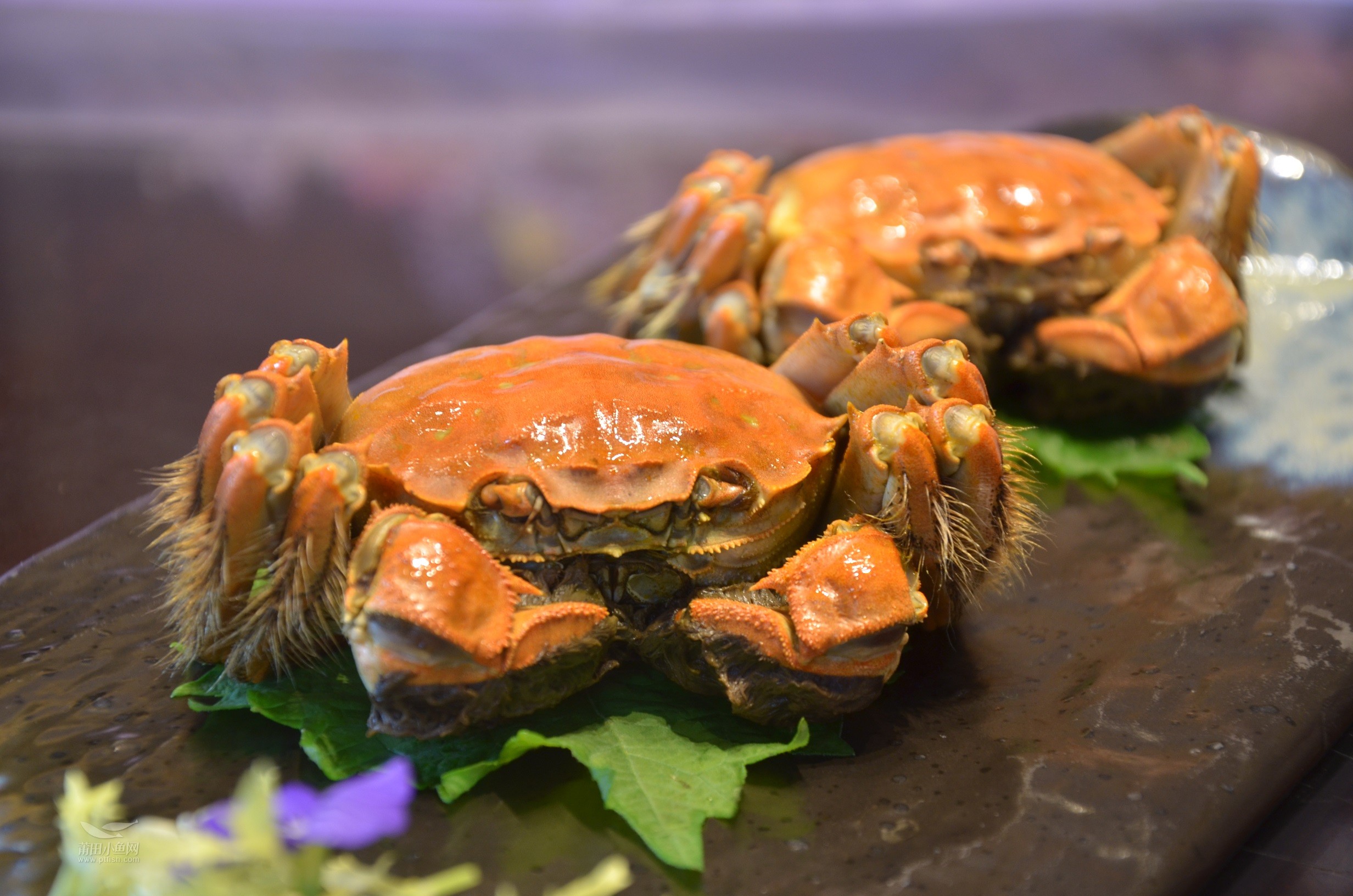 生炊大闸蟹.steamed hairy crab.jpg